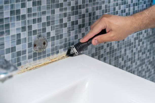 Best Mold Cleaning Services  in Clintwood, VA