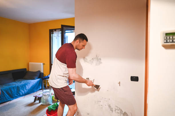 Mold Removal and Inspection in Clintwood, VA